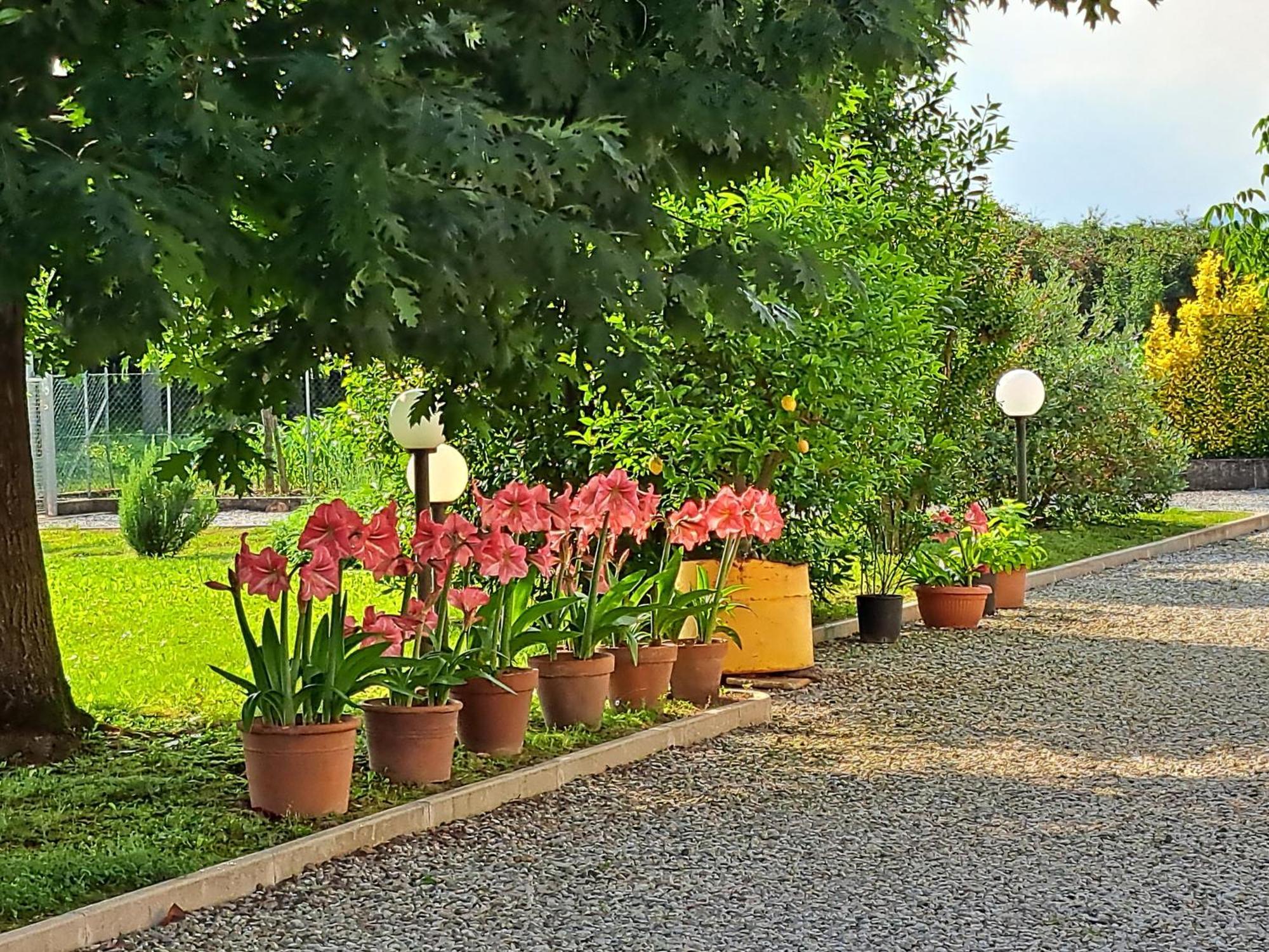 Borgo Barucchella Hotel Sant'Andra Exterior foto