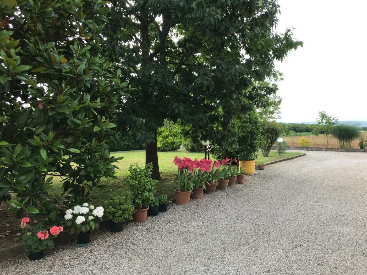 Borgo Barucchella Hotel Sant'Andra Exterior foto